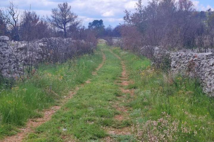 Vodice, uređeno poljoprivredno zemljište, 15. 998 m2