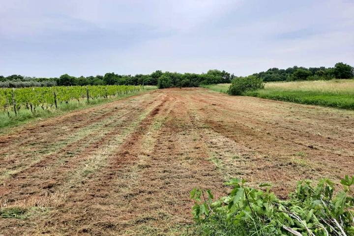 Istra, Muntić - građevinsko zemljište na mirnoj lokaciji uz cestu 904 m2