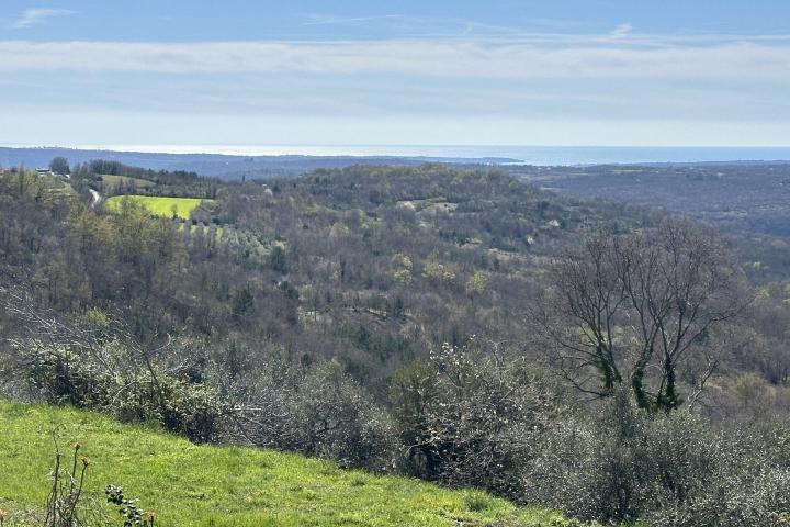 Istra, Buje - građevinsko zemljište 754 m2 s pravomoćnom građevinskom dozvolom - pogled na more