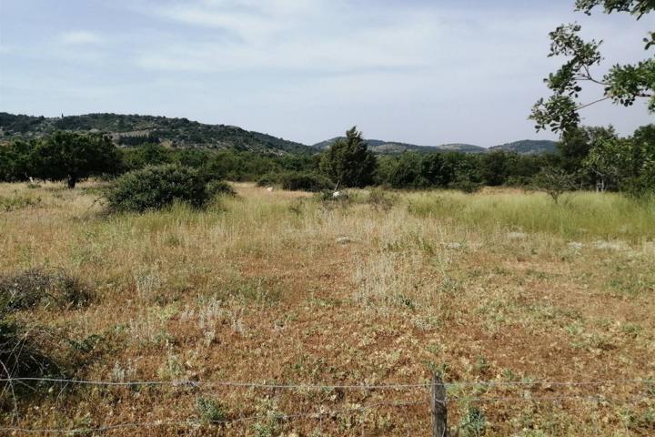 Brač, poljoprivredno zemljište u unutrašnjosti otoka (12 860 m2)