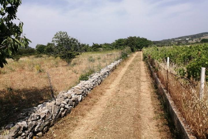 Brač, poljoprivredno zemljište u unutrašnjosti otoka (12 860 m2)