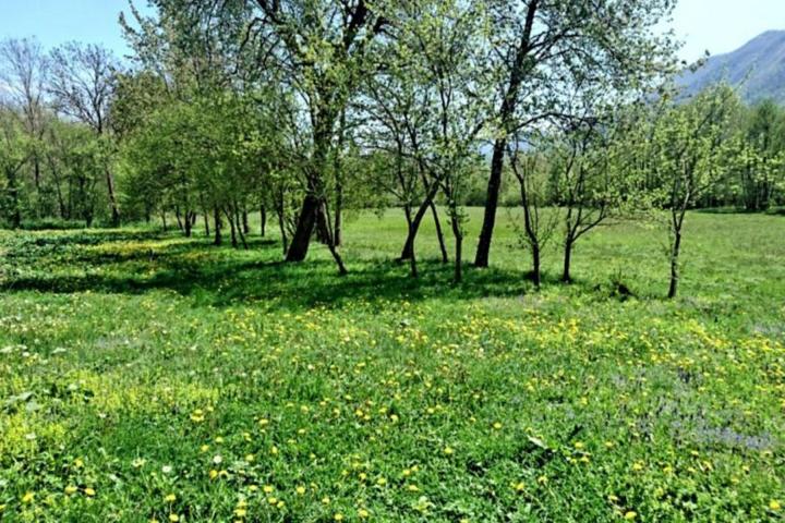 Gospić, Brušane, samostojeća kuća na lijepoj lokaciji, prilika