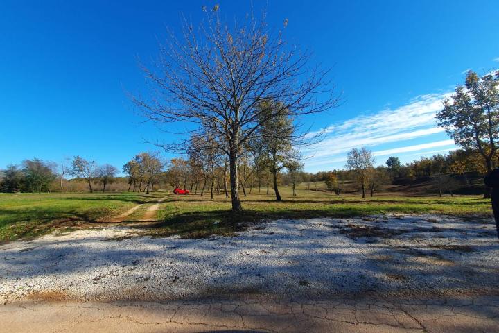 Poreč, okolica - lijepo građevinsko zemljište NKP 862 m2 pravilnog oblika 