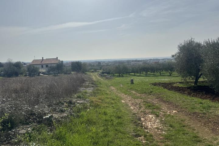 Istra, Kaštelir - građevinsko zemljište na rubu urbanizacije s pogledom na more 2262 m2