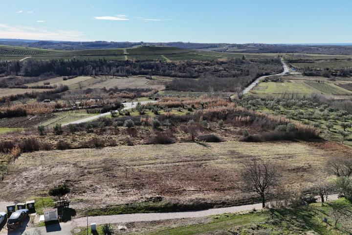 Istra, Buje - građevinsko zemljište 1036 m2 na odličnoj lokaciji