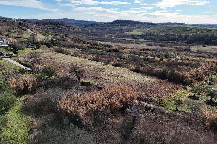 Istra, Buje - građevinsko zemljište 1036 m2 na odličnoj lokaciji