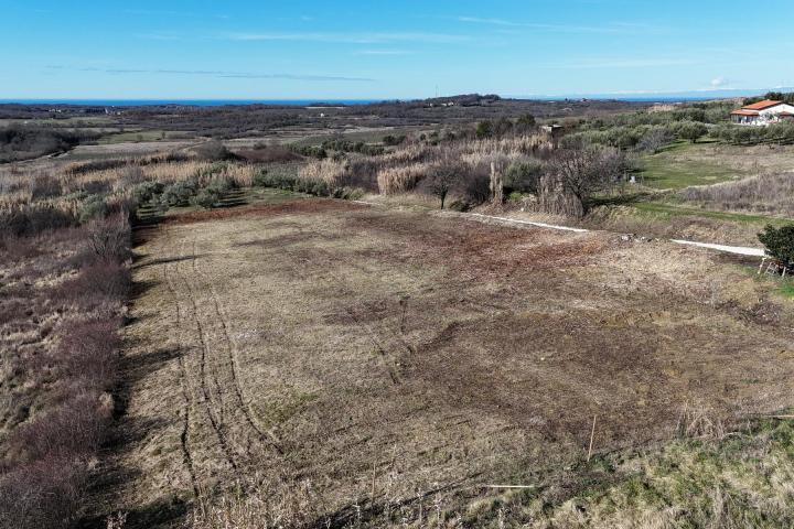 Istra, Buje - građevinsko zemljište 1036 m2 na odličnoj lokaciji