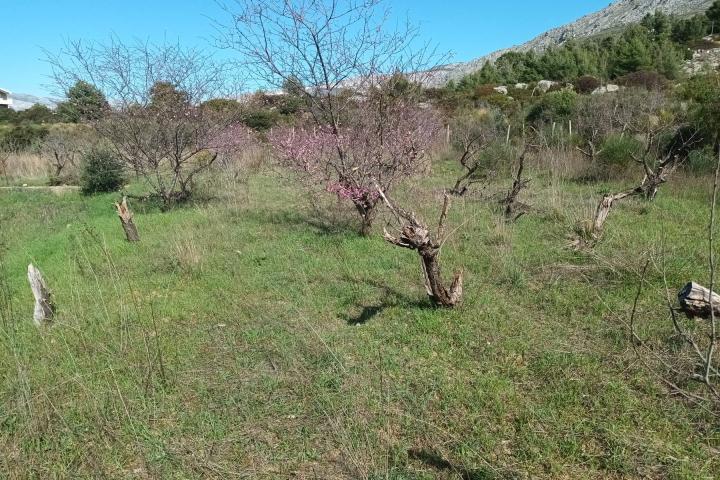 Podstrana, građevinsko zemljište s otvorenim pogledom na more