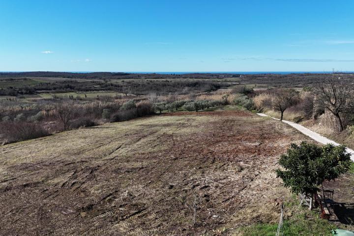 Istra, Buje - građevinsko zemljište 1032 m2 na odličnoj lokaciji