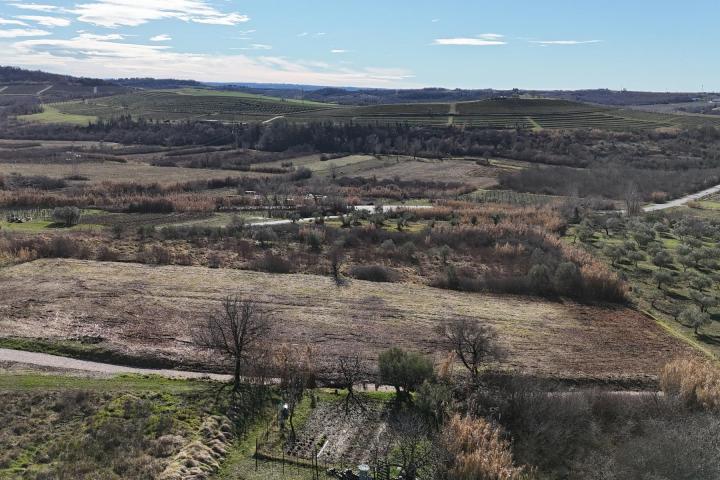 Istra, Buje - građevinsko zemljište 1032 m2 na odličnoj lokaciji