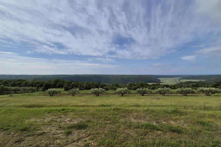 Istra, Grožnjan, vila s bazenom panoramskim pogledom 