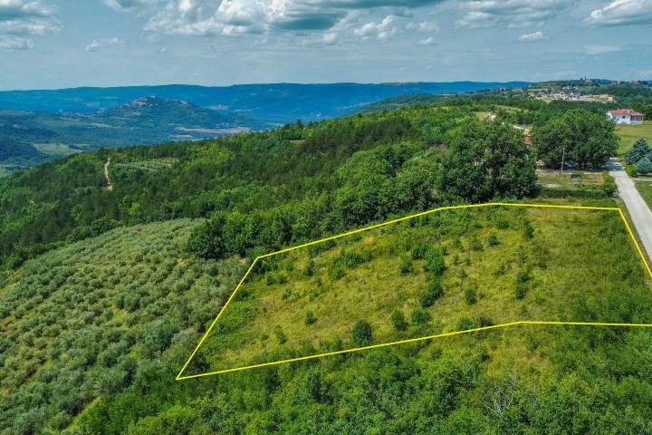 Istra, zemljište 5. 800 m2 s panoramskim pogledom na Motovun i pravomoćnom građevinskom dozvolom