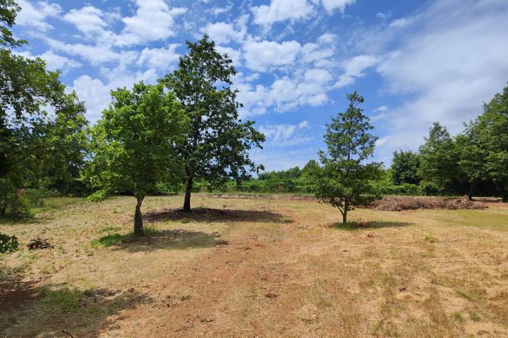 Barban, Rojnići - prekrasno pravokutno građevinsko zemljište 693 m2 