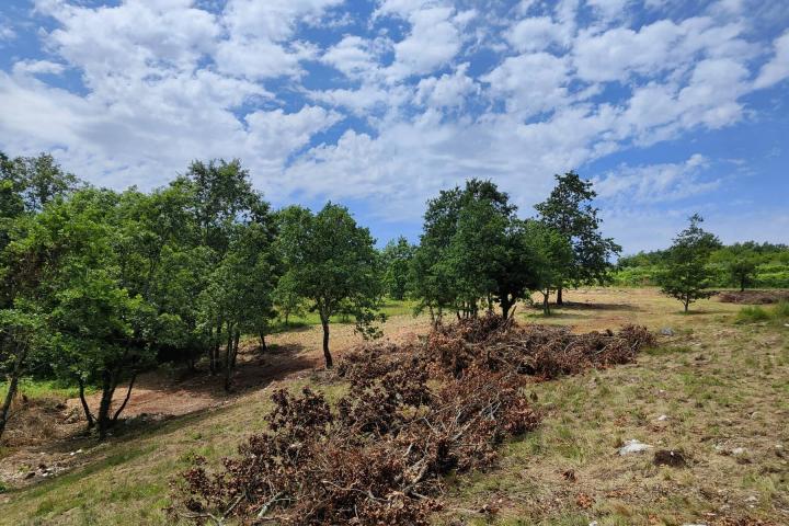 Barban, Rojnići - prekrasno pravokutno građevinsko zemljište 693 m2 