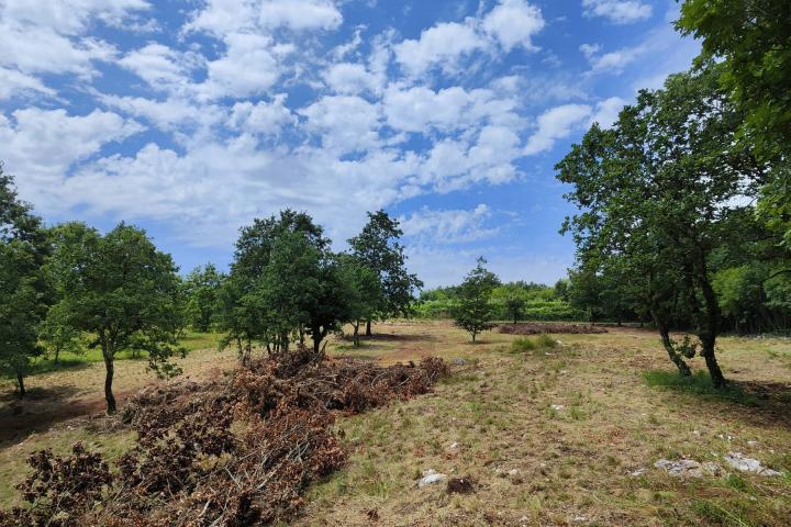 Barban, Rojnići - prekrasno pravokutno građevinsko zemljište 693 m2 