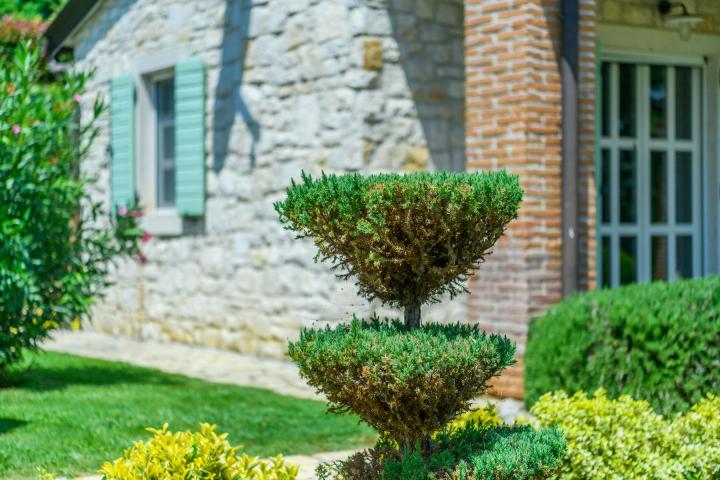 Istra, Kringa, najam predivne kamene kuće s bazenom - dugoročni najam