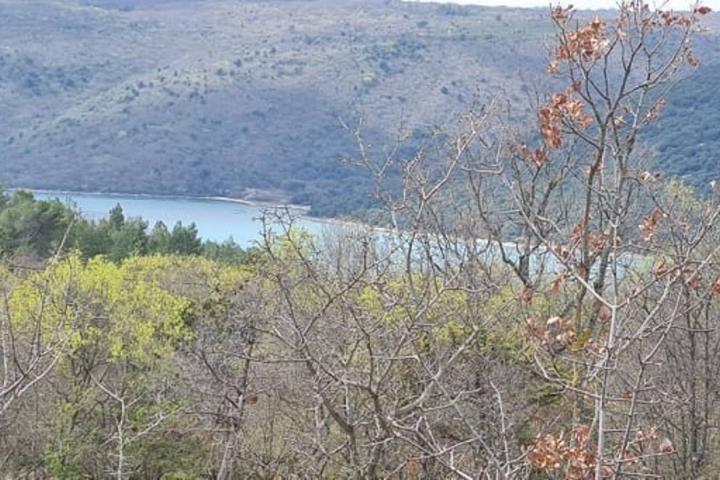 Istra, Trget - građevinsko zemljište sa pogledom na more veličine 1299 m2