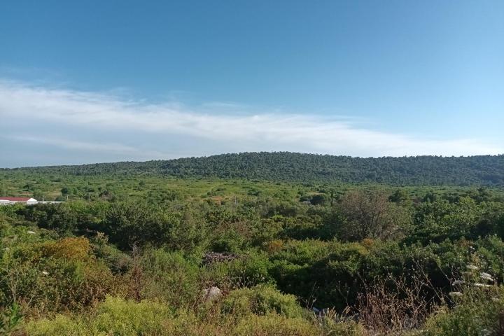 Šolta, Grohote, građevinsko zemljište površine 1010 m2