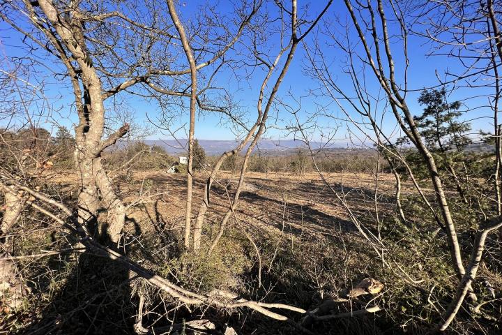 Istra, Rakalj - prekrasna građevinska parcela 877 m2 s pogledom na more 