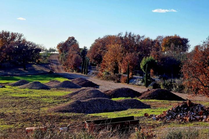 Istra, Rovinj, projekt s dozvolom za gradnju kuće 120m2 na zemljištu s maslinikom 16000m2 