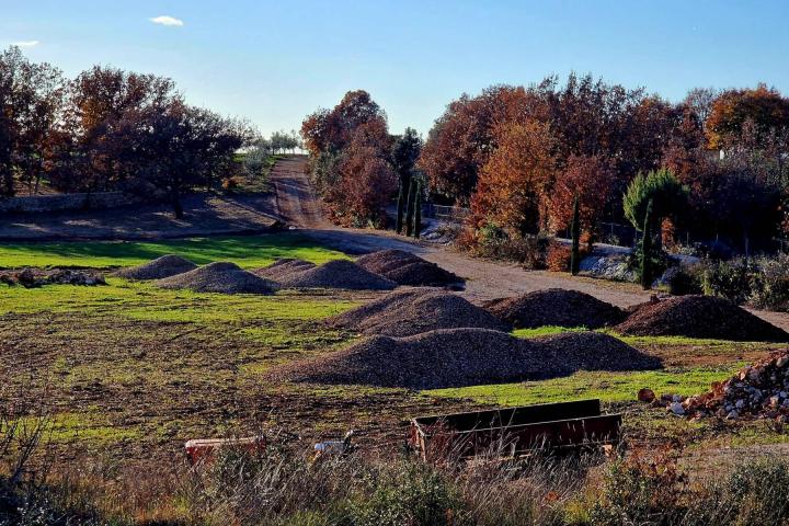 Istra, Rovinj, projekt s dozvolom za gradnju kuće 120m2 na zemljištu s maslinikom 16000m2 