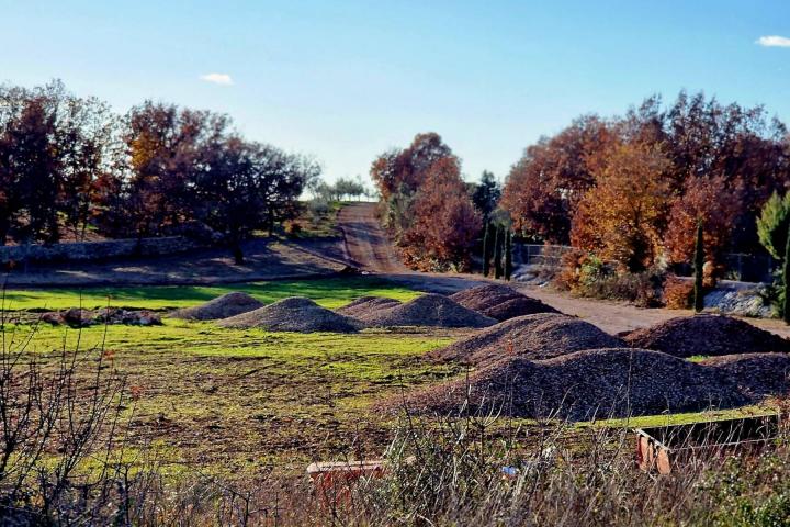 Istra, Rovinj, projekt s dozvolom za gradnju kuće 120m2 na zemljištu s maslinikom 16000m2 