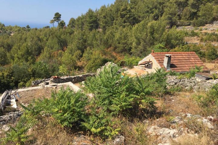 Korčula zemljište 31. 700m2 za gradnju vile 