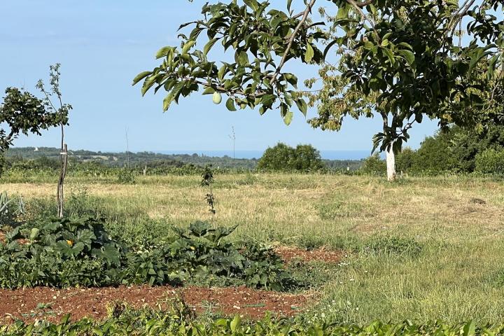 Poreč, okolica, građevinsko zemljište 