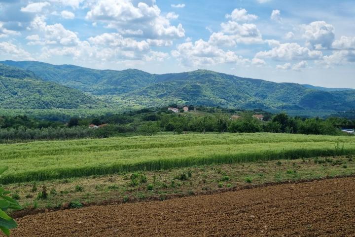 Istra, Buzet, građevinsko zemljište s pogledom na zelenilo  u pravoj oazi mira