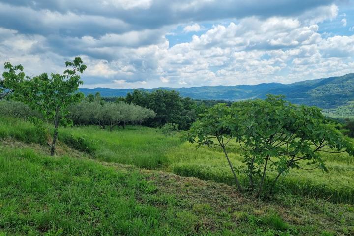 Istra, Buzet, građevinsko zemljište s pogledom na zelenilo  u pravoj oazi mira