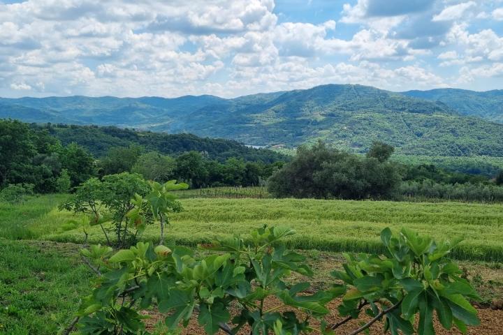 Istra, Buzet, građevinsko zemljište s pogledom na zelenilo  u pravoj oazi mira