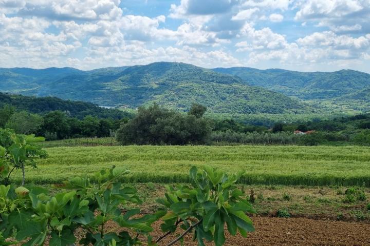 Istra, Buzet, građevinsko zemljište s pogledom na zelenilo  u pravoj oazi mira