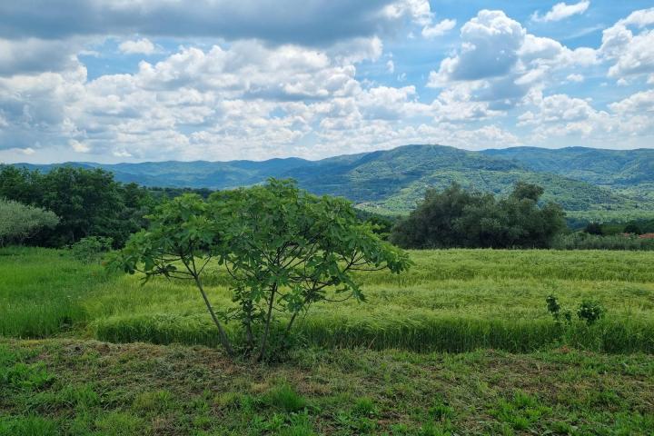 Istra, Buzet, građevinsko zemljište s pogledom na zelenilo  u pravoj oazi mira