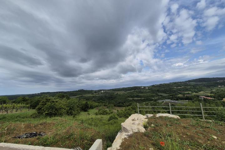 Istra, Grožnjan, vila s bazenom okružena maslinama