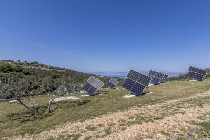 Brač, Splitska, bajkovito imanje - maslinik s kućom i projektom na parceli površine 37. 000 m2. 