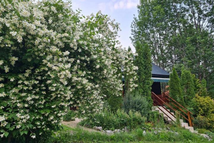 Plitvička Jezera, šarmantna kuća za odmor 125 m2 na zemljištu od 9000 m2