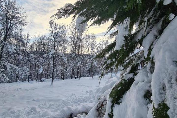 Plitvička Jezera, šarmantna kuća za odmor 125 m2 na zemljištu od 9000 m2