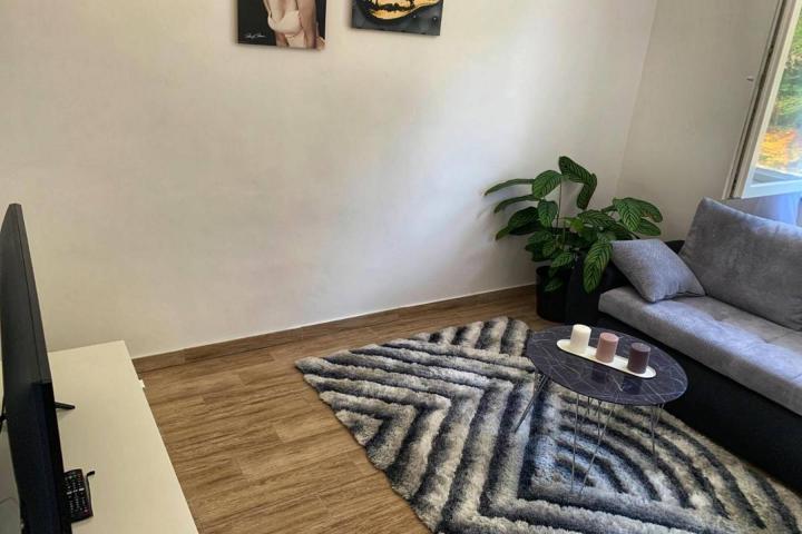 Medulin, prekrasna villa s 3 apartmana, bazenom i vrtom