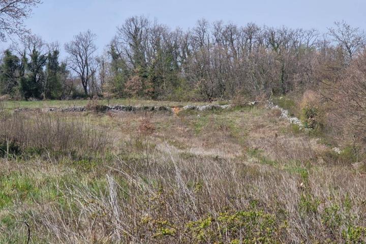 Istra, Karojba 3465m2 građevinskog zemljišta + 1200m2 poljoprivrednog