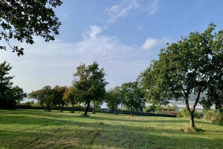 Istra, Tar - građevinsko zemljište 1. red do mora sa panoramskim pogledom