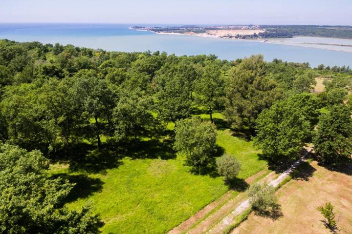 Istra, Tar - građevinsko zemljište 1. red do mora sa panoramskim pogledom