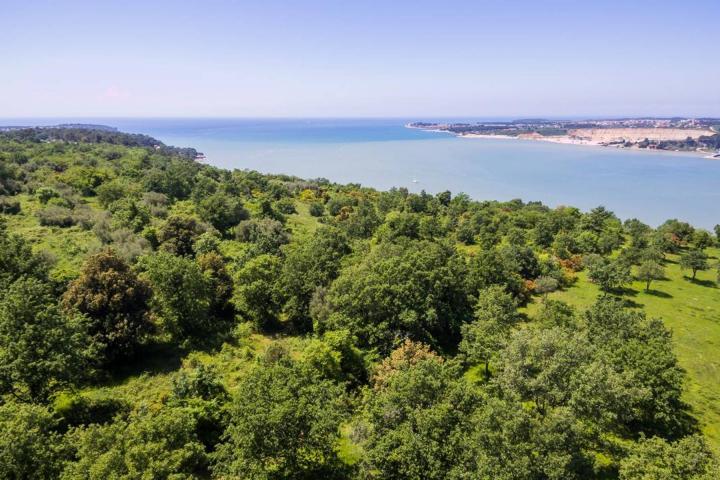 Istra, Tar - građevinsko zemljište 1. red do mora sa panoramskim pogledom