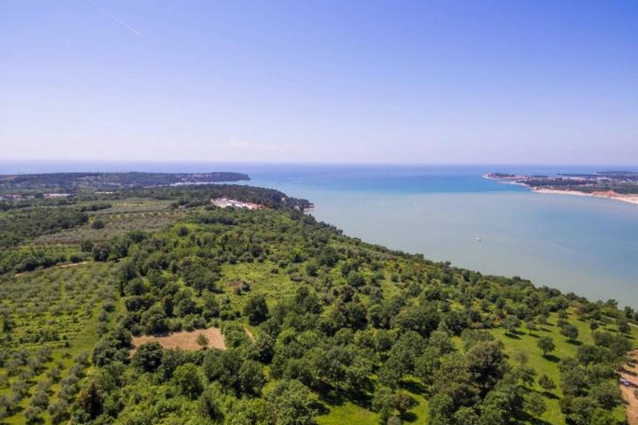 Istra, Tar - građevinsko zemljište 1. red do mora sa panoramskim pogledom