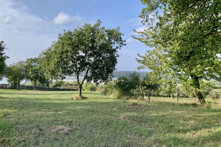 Istra, Tar - građevinsko zemljište 1. red do mora sa panoramskim pogledom