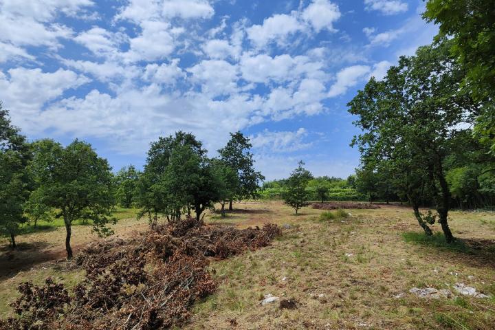 Barban, Rojnići - prekrasno pravokutno građevinsko zemljište 772 m2 