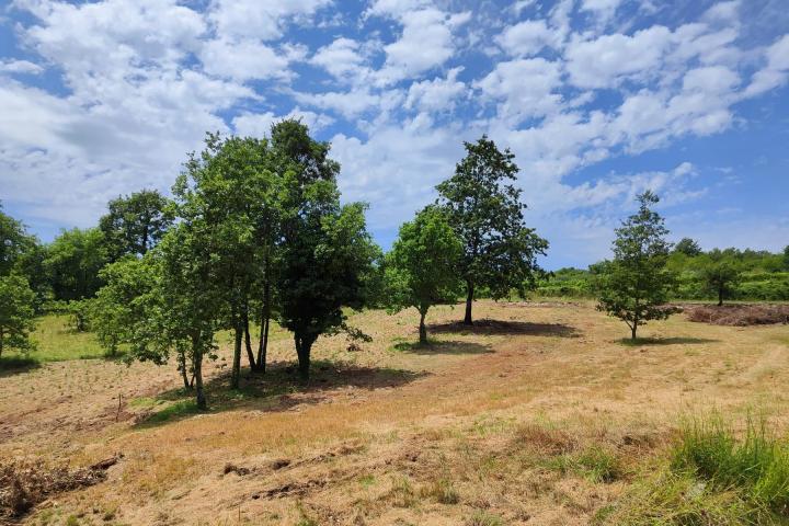 Barban, Rojnići - prekrasno pravokutno građevinsko zemljište 772 m2 