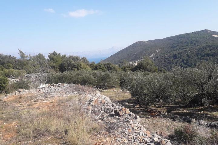 Hvar, Zastražišće, poljoprivredno zemljište, s pogledom na more