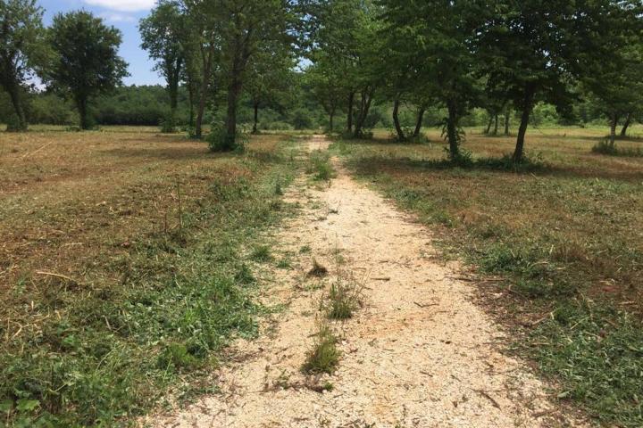 Poreč, veliko građevinsko zemljište NKP 8289 m2,  više građevinskih parcela pravilnog oblika