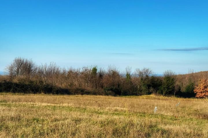 Istra, Poreč okolica, građevinsko zemljište s pogledom na more 