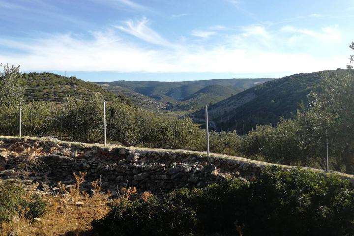 Brač, Postira, građevinsko zemljište s pogledom na more